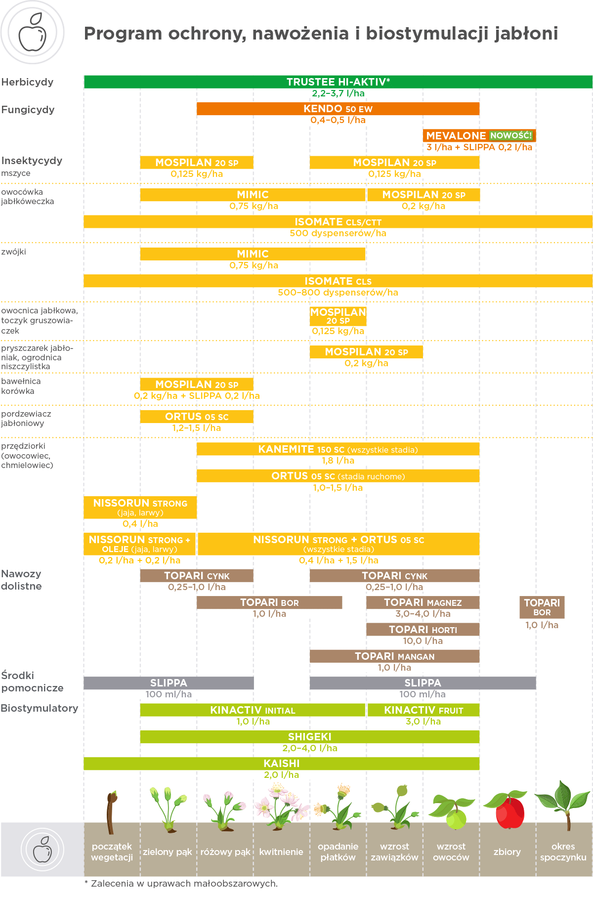 Jabłoń program uprawy