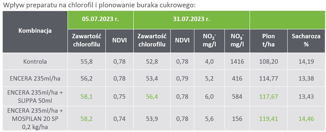 Wpływ preparatu na chlorofil i plonowanie buraka cukrowego