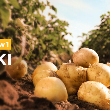 Środek do desykacji ziemniaków i herbicyd – MIZUKI