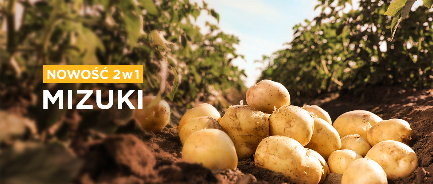MIZUKI – herbicyd i środek do desykacji ziemniaków